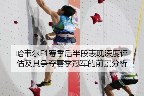 哈韦尔F1赛季后半段表现深度评估及其争夺赛季冠军的前景分析